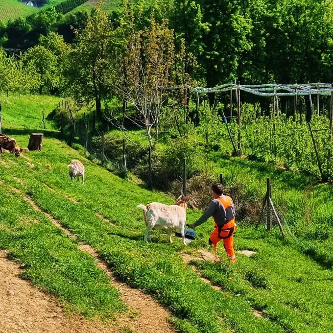 3117972A 0B43 41D4 B1C9 73751052F703