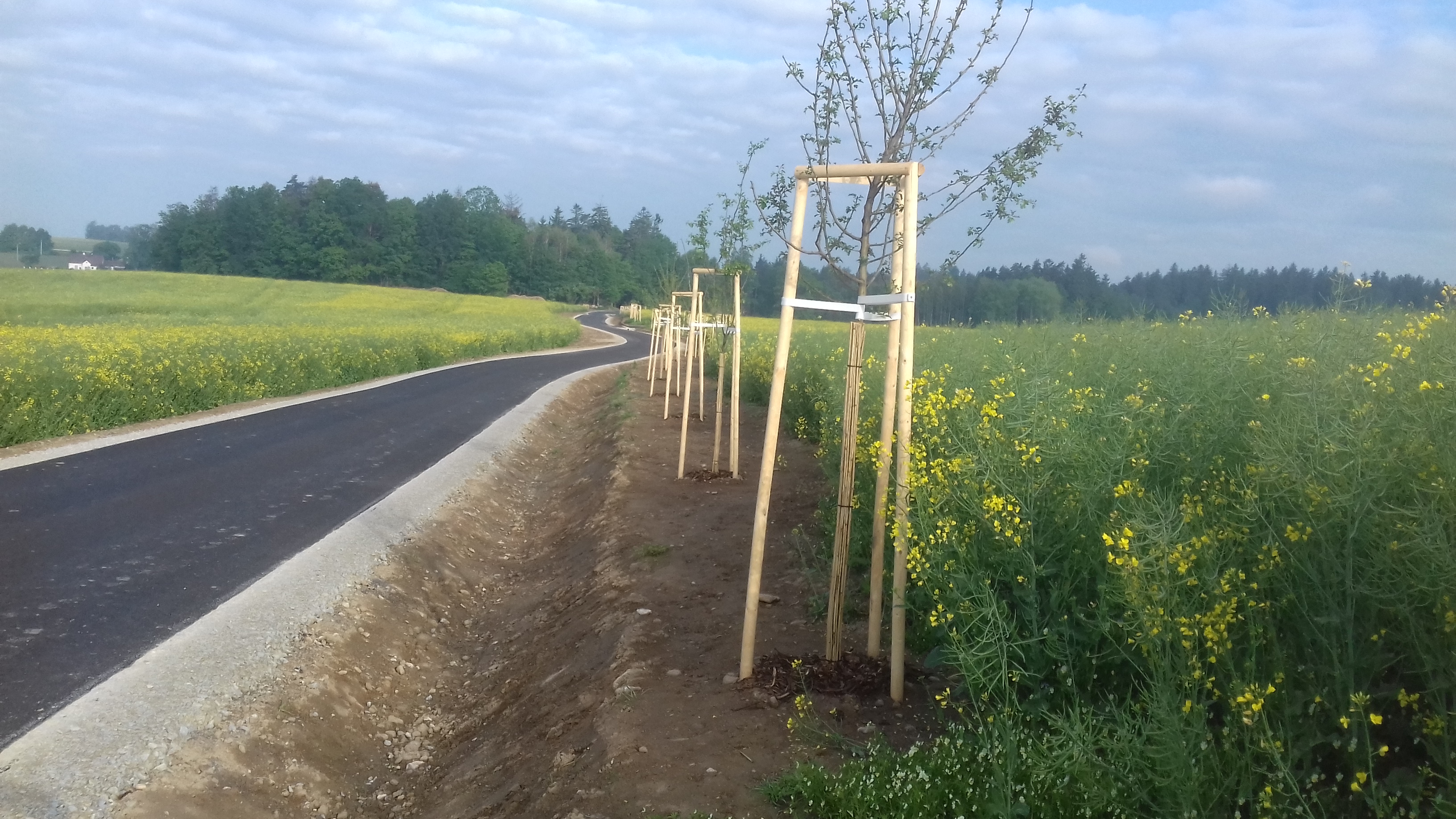 Cyklostezka – propojení katastrálních území Matná–Buk         - Straßen- und Brückenbau